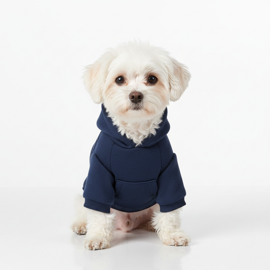Dog wearing a navy blue sporty hoodie with kangaroo pocket