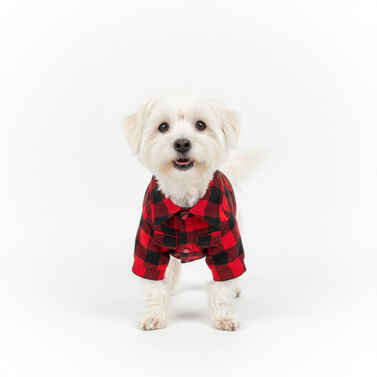 Dog wearing a red and black plaid flannel shirt jacket